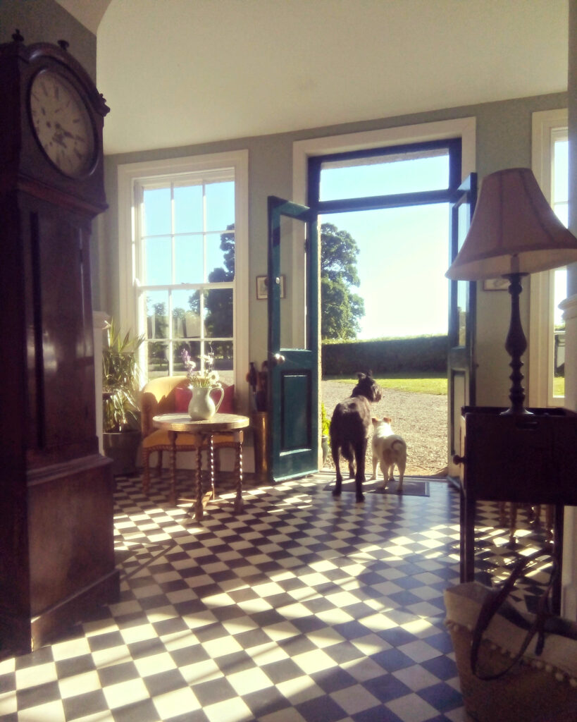 Two dogs look out the front doorway of Inchquin House, County Clare. 