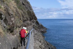 Walkers along the Gobbins Cliff Path