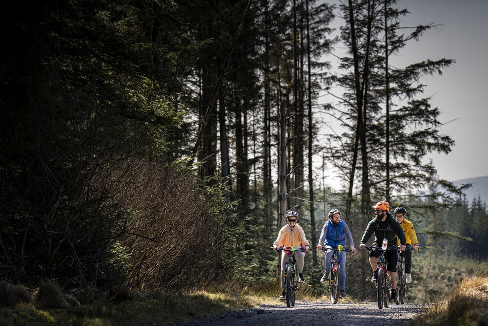 things to do in Co. Fermanagh - cycling through the forest in Enniskillen